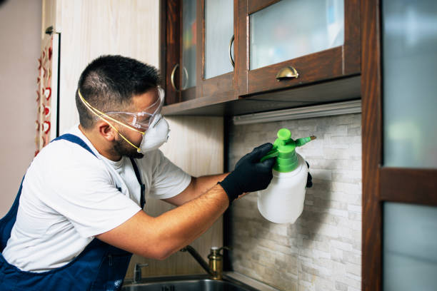 Best Ant Control Services  in Breckenridge, TX