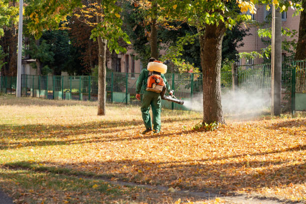 Best Emergency Pest Control  in Breckenridge, TX